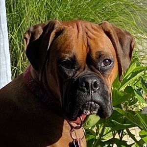 Meet your Posher, James